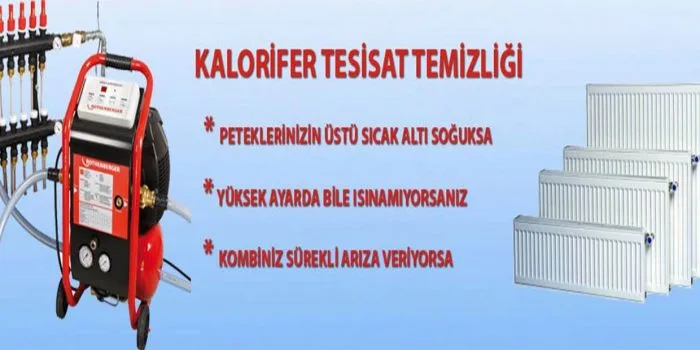 Arnavutköy Petek Yıkama